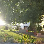 Lindengut *